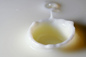 www.lactissima.com